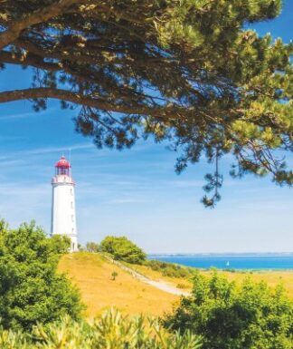 Sommer auf Rügen 4