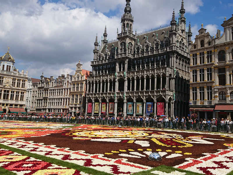 Magnifique Belgique & les fleurs 1