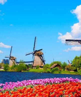 Frühlingsflussfahrt - zur Tulpenblüte nach Holland 16