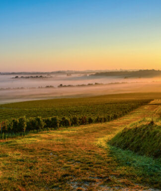 Bordeaux - Rioja - Baskenland 38