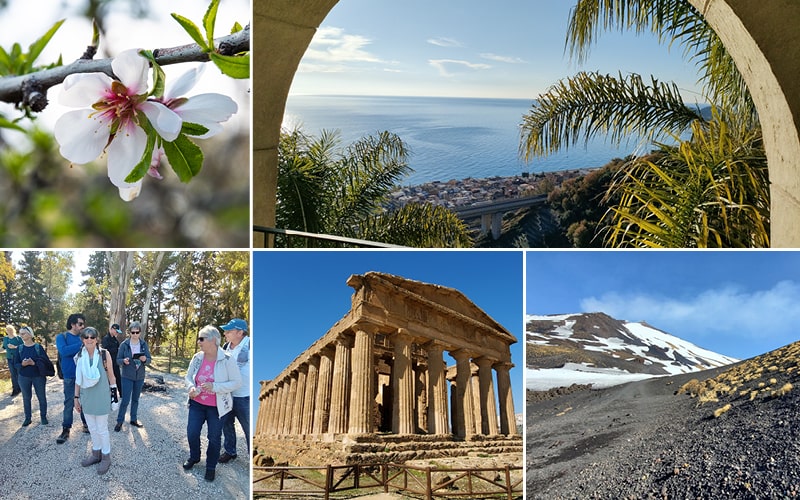 Mandelblüte in Sizilien mit Cornelia Scalenghe 8