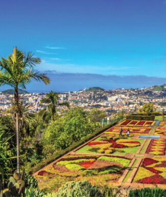 Blumeninsel Madeira 2