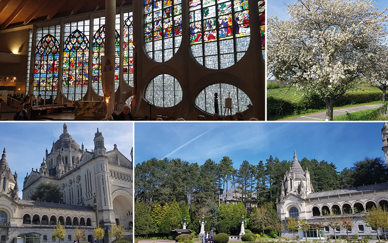 Apfelblüte in der Normandie mit Isabella Raimann 7