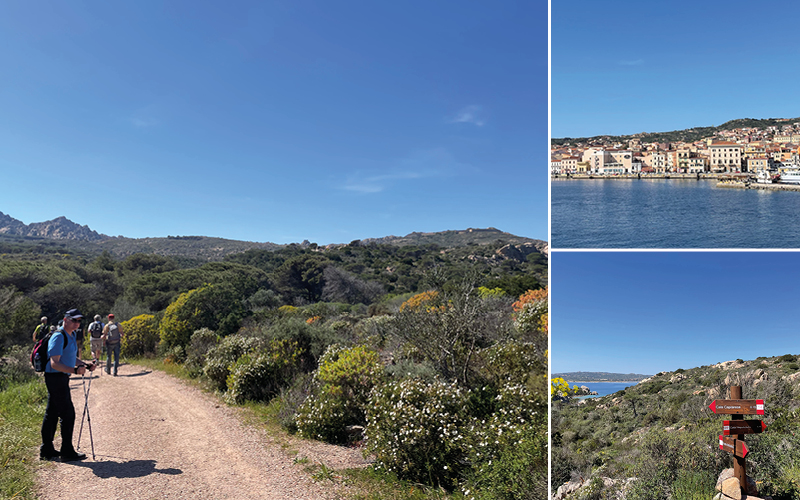 Küstenwandern auf Sardinien mit Ines Brändle 7