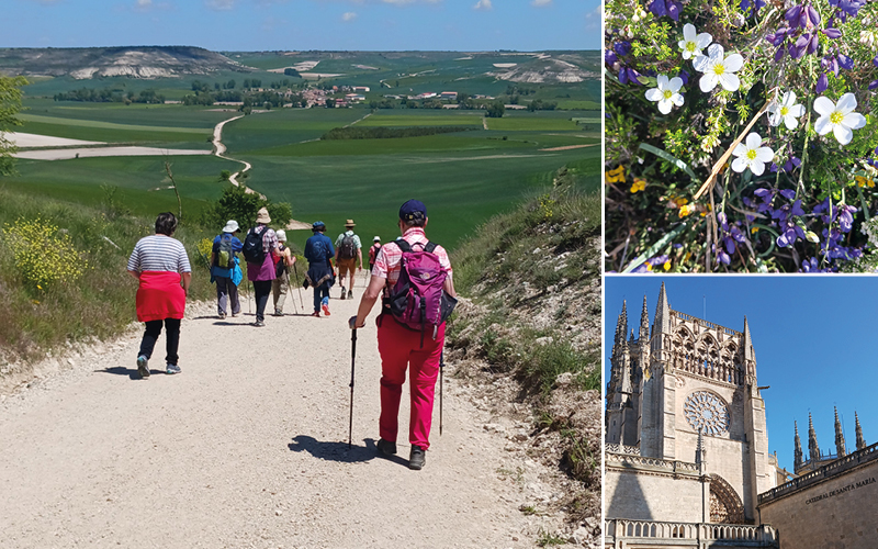 Sur les chemins de Saint-Jacques avec Caroline van Aartrijk 5