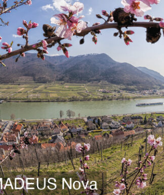 Frühlingsflussfahrt - Marillenblüte in der Wachau 15